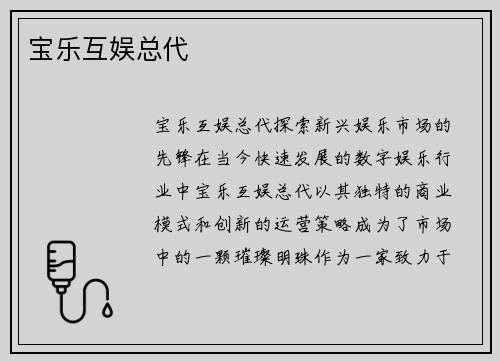 宝乐互娱总代